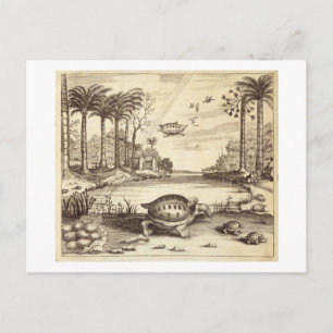 Postal Huevos de tortuga silbando, de 'China ilustrada' p