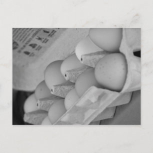 Postal Huevos frescos