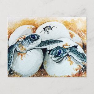 Postal Huevos Honu Hatchling (Tortuga del Mar Verde)