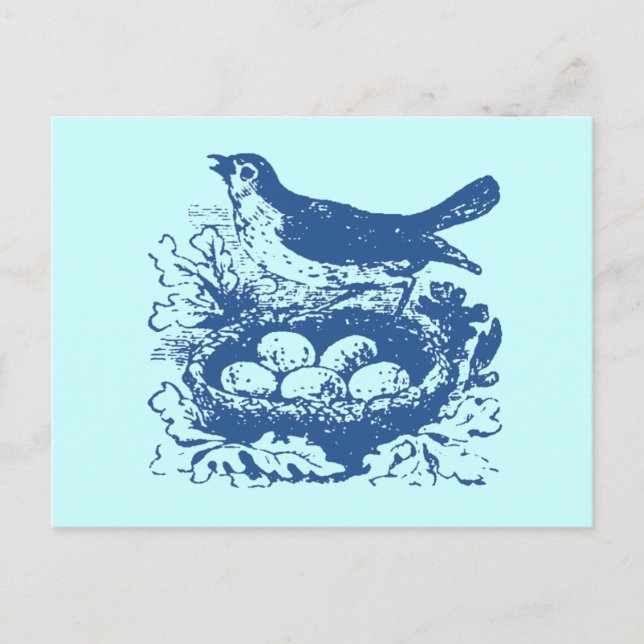 Postal Huevos y nidos de aves de la época (Anverso)