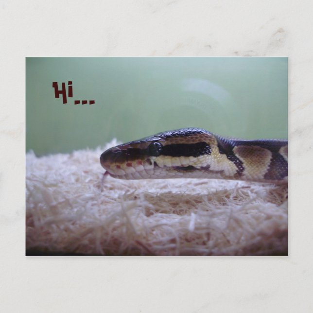 POSTAL HUG (Anverso)