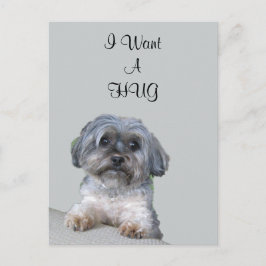Postal Hug Dog Postcard