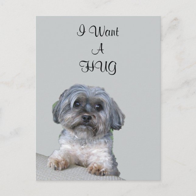 Postal Hug Dog Postcard (Anverso)