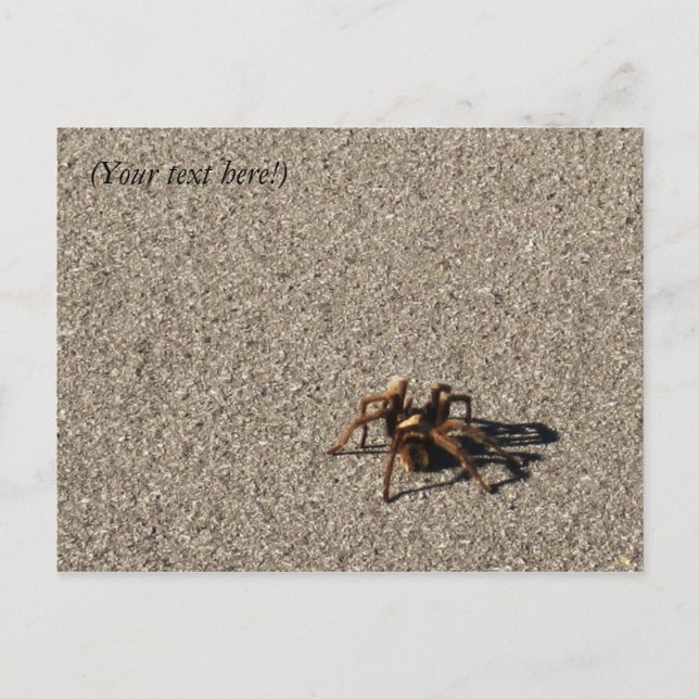 Postal HuGe sPiDeR II (Anverso)