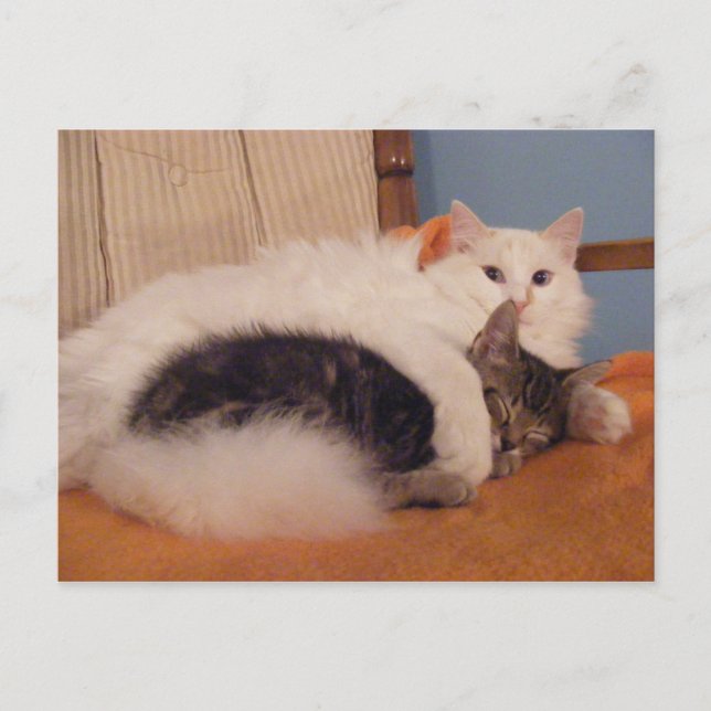 Postal HugZ (Anverso)