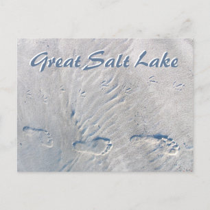 Postal Humanidades de gaviota humana en la Gran Salada de