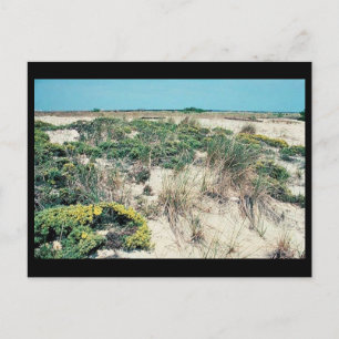 Postal Humedales. Delaware Bay Cape Henlopen