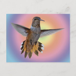 POSTAL HUMMINGBIRD