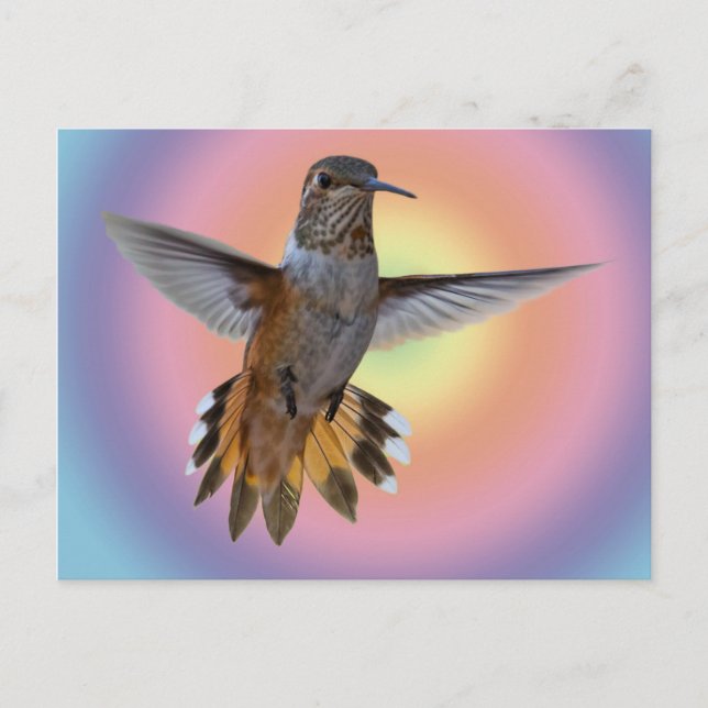 POSTAL HUMMINGBIRD (Anverso)