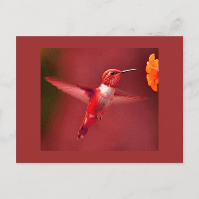 Postal Hummingbird (Anverso)