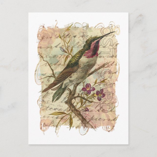 Postal Hummingbird (Anverso)
