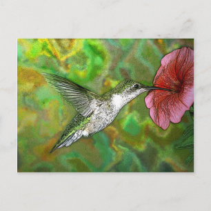Postal Hummingbird