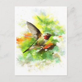 Postal Hummingbird