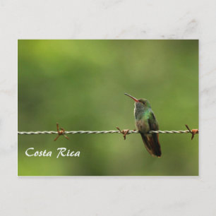 Postal Hummingbird Costa Rica