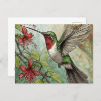 Hummingbird en vuelo con vino de trompeta roja
