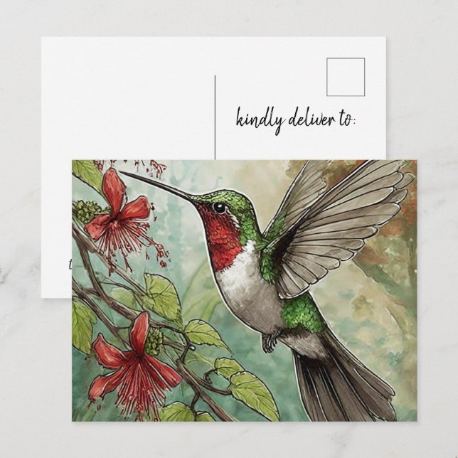 Postal Hummingbird en vuelo con vino de trompeta roja (Anverso / Reverso)