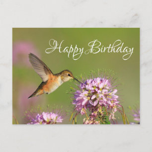 Postal Hummingbird feliz cumpleaños