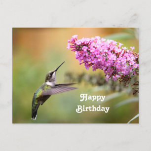 Postal Hummingbird Foto Floral Cumpleaños