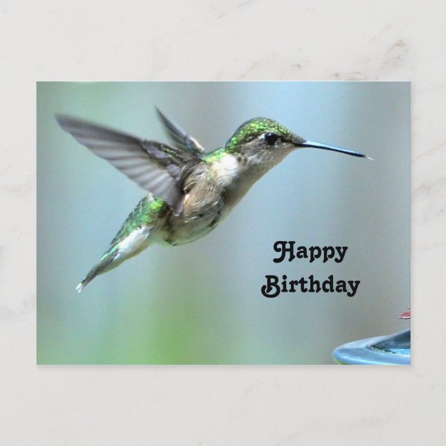 Postal Hummingbird Green Flight Photo Wildlife Cumpleaños (Anverso)