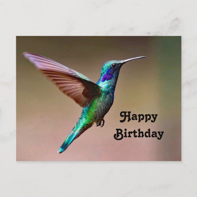 Postal Hummingbird Green Wildlife Foto Cumpleaños (Anverso)