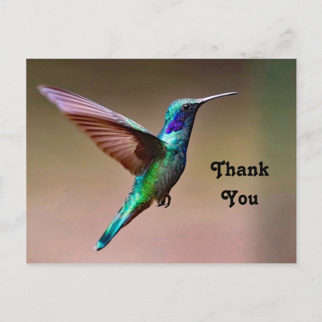 Postal Hummingbird Green Willife Photo You (Anverso)