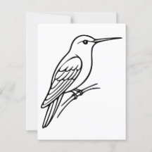 Hummingbird Line Art - Ilustracion de pájaro