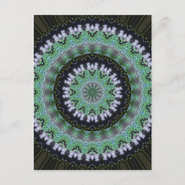 Postal Hummingbird Mandala (Anverso)