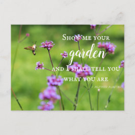 Postal Hummingbird Moth & Flowers