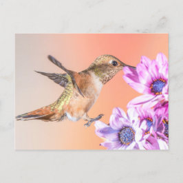 Postal Hummingbird naranja y flores moradas