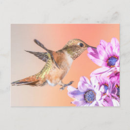 Postal Hummingbird naranja y flores moradas