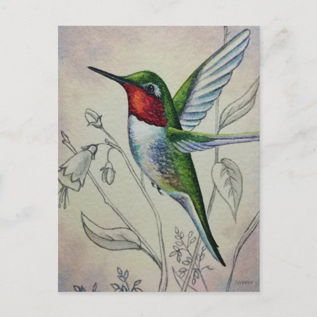 Postal Hummingbird No. 1 Watercolor Art (Anverso)
