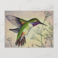 Hummingbird No. 2 Watercolor Art