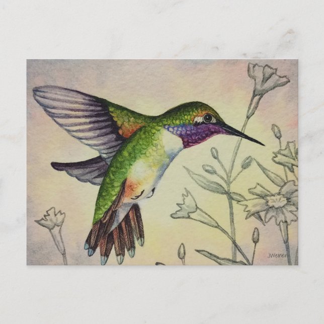 Postal Hummingbird No. 2 Watercolor Art (Anverso)