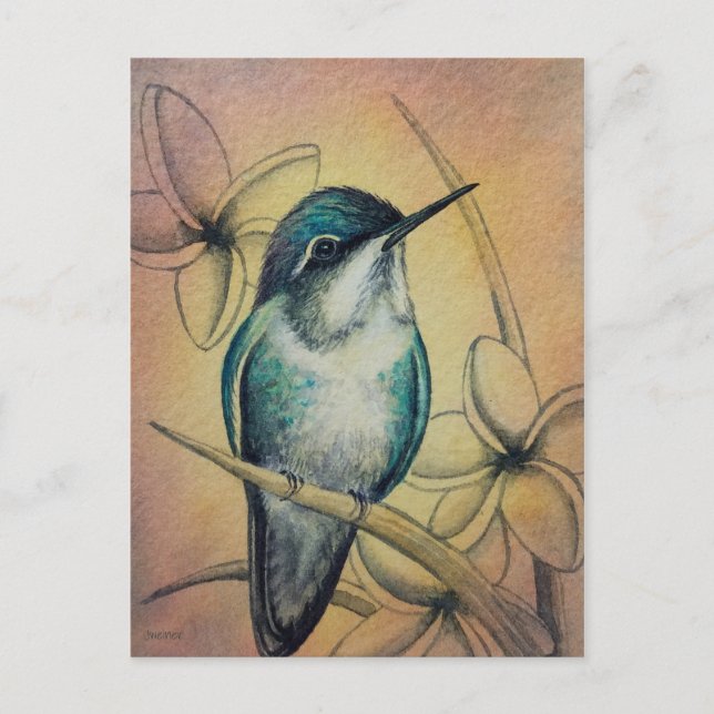 Postal Hummingbird No. 3 Watercolor Art (Anverso)