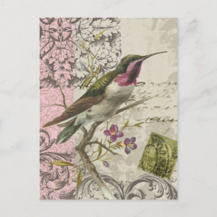 Postal Hummingbird...postal