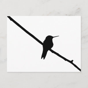 Postal Hummingbird Silhouette