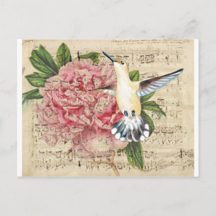 Postal Hummingbird Song