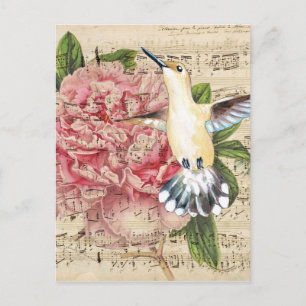 Postal Hummingbird Song