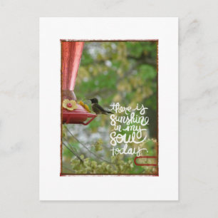 Postal Hummingbird Sunshine en mi alma
