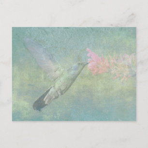 Postal Hummingbird Tune