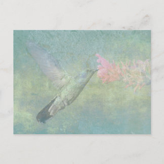 Postal Hummingbird Tune