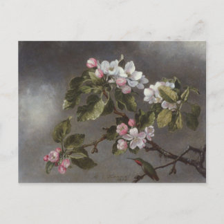 Postal Hummingbird y Apple Blossoms Martin J. Heade
