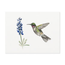 Hummingbird y Bluebonnet