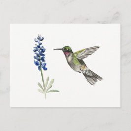 Postal Hummingbird y Bluebonnet