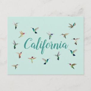Postal Hummingbirds de California