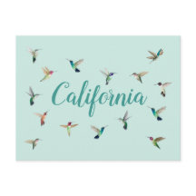 Hummingbirds de California