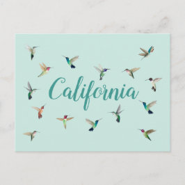 Postal Hummingbirds de California