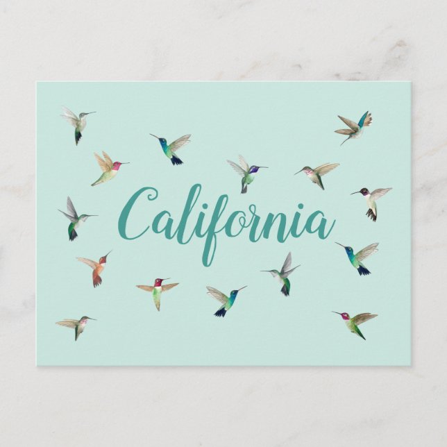 Postal Hummingbirds de California (Anverso)