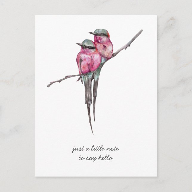 Postal Hummingbirds de cola larga y rosa pensando en ti (Anverso)