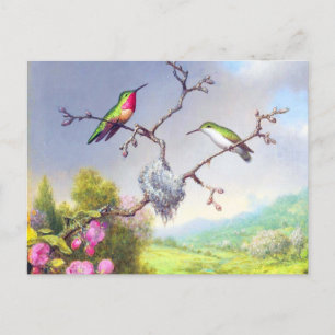 Postal Hummingbirds y el arte de las flores